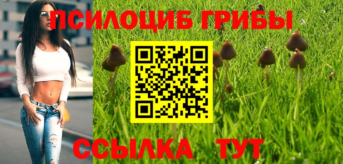 Псилоцибиновые грибы Magic Shrooms  Вход с VPN  Губкин 