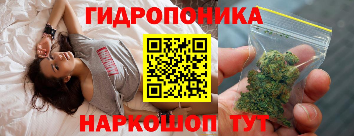 Конопля конопля Губкин
